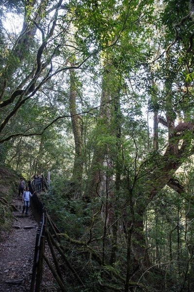 2019.03.01拉拉山雲河露營農場森林遊樂區 (64).jpg