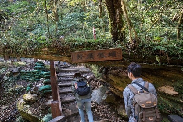 2019.03.01拉拉山雲河露營農場森林遊樂區 (69).jpg