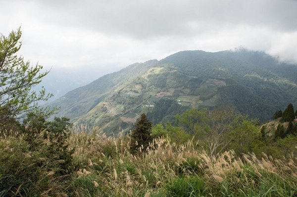 2019.03.01拉拉山雲河露營農場森林遊樂區 (83).jpg