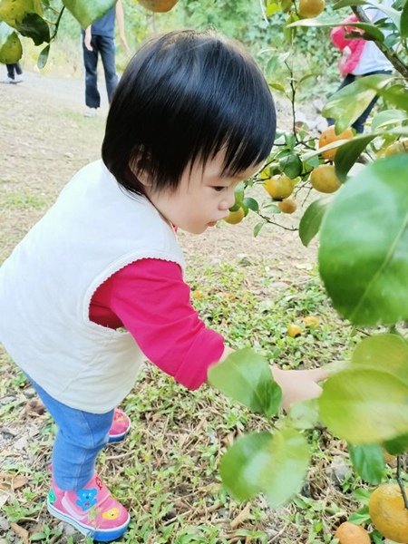 2019.12.14~15黃金森林第十露 (50).jpg