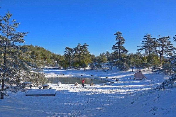 2016.01.24全台瘋追雪 (1).jpg