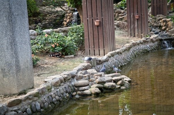 2016.04.02壽山動物園.六合夜市 (23).jpg