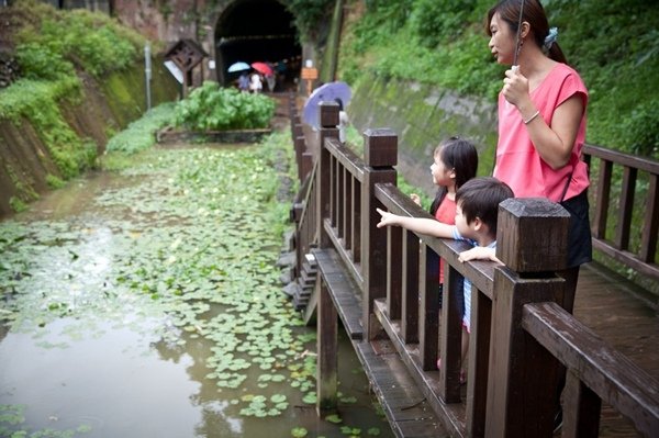 2016.06.11苗栗功維敘崎頂子母隧道.龍鳳漁港 (21).jpg