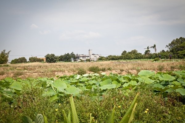 2016.07.24桃園竹圍漁港林家古厝 (30).jpg