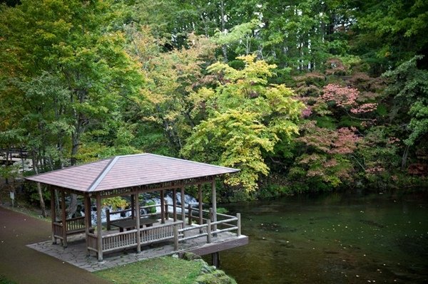 2016.10.06北海道名水公園 (5).jpg