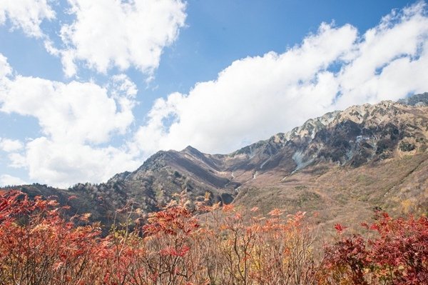 2018.10.19 日本黑部立山 (46).jpg