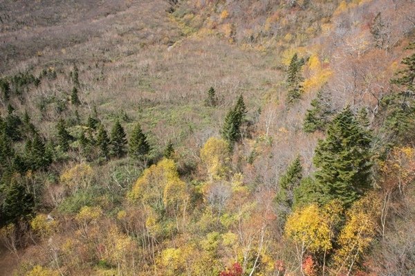 2018.10.19 日本黑部立山 (52).jpg