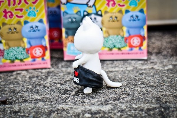 2017.05.05內褲貓 (36).jpg