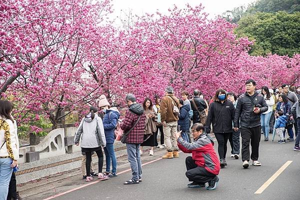 2024.03.02 泰安派出所~豐原廟東 (41).jpg