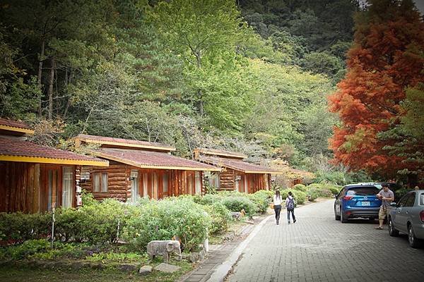 2013.11.09~10武陵農場原檔 (29).jpg
