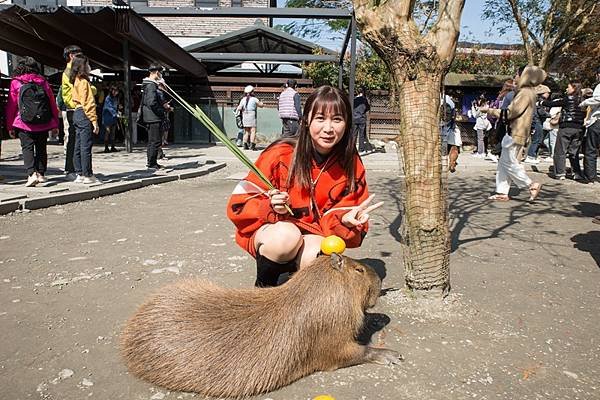 2025.01.28三星 張美阿嬤農場 (77).jpg