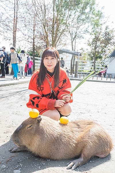 2025.01.28三星 張美阿嬤農場 (84).jpg