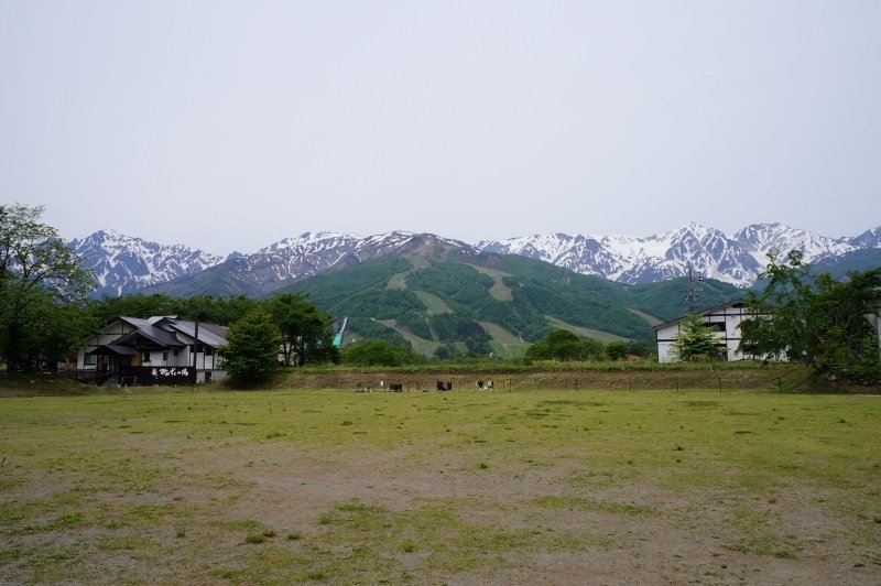 DSC06656.JPG