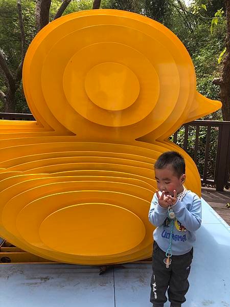 看老虎瑋瑋寶貝三歲