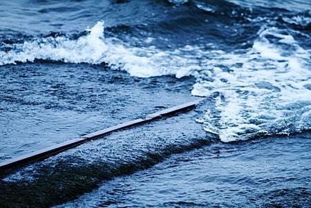 _MG_9558.JPG