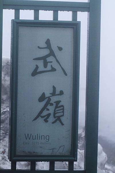 _MG_0313.JPG