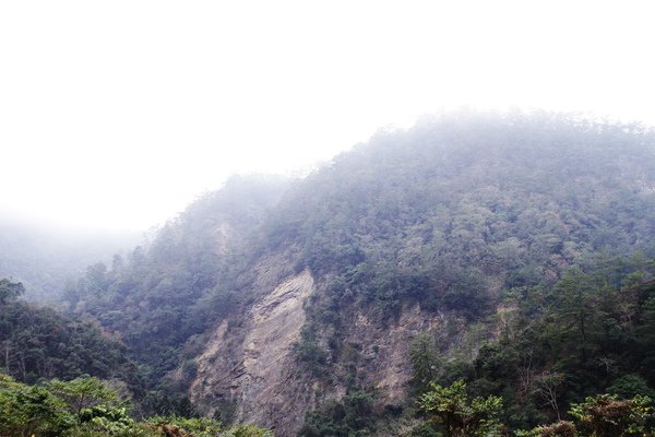 _MG_7972.JPG