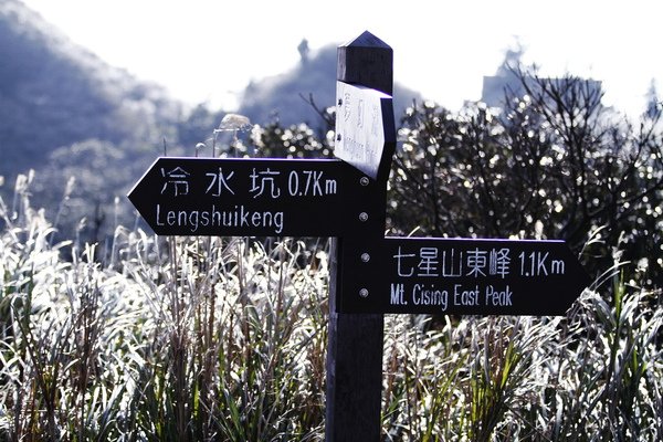 _MG_8580.JPG
