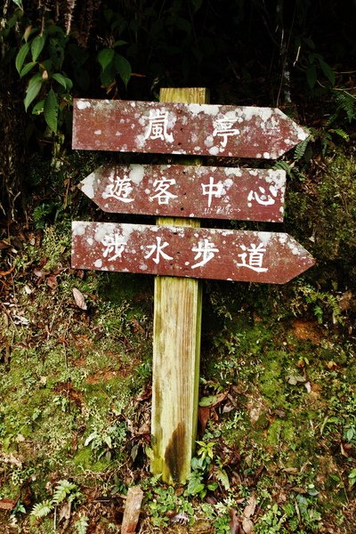 _MG_8041.JPG