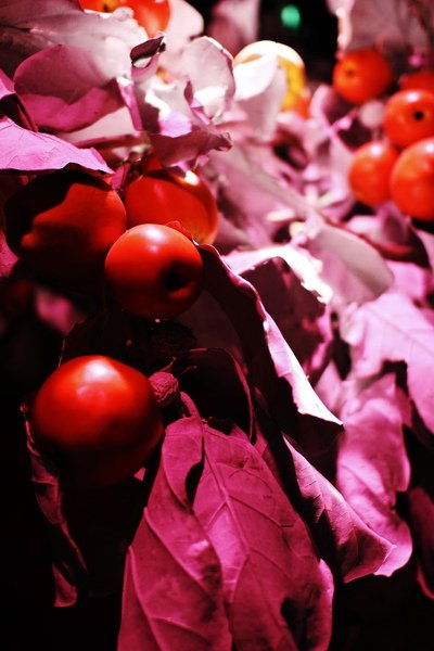 _MG_6749.JPG
