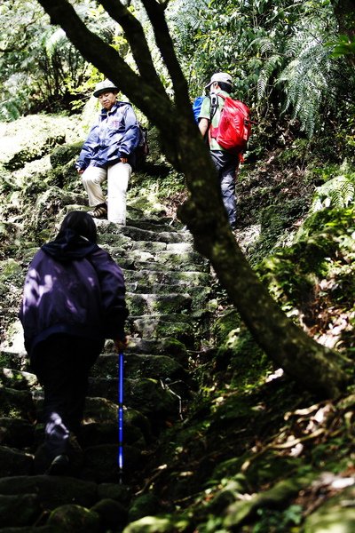 _MG_8476.JPG