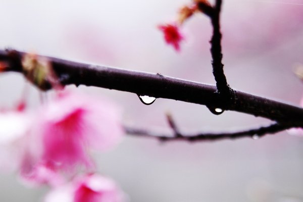 _MG_8130.JPG