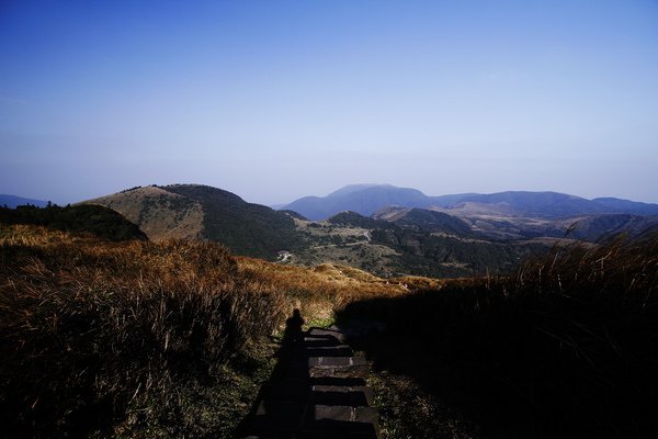 _MG_8583.JPG