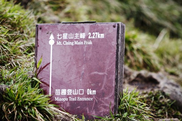 _MG_8486.JPG