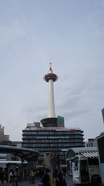 DSC07487