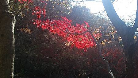 C360_2012-11-03-12-41-34