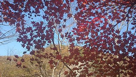 C360_2012-11-03-12-55-50