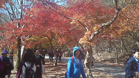 C360_2012-11-03-13-04-57