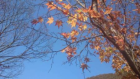 C360_2012-11-03-12-57-31