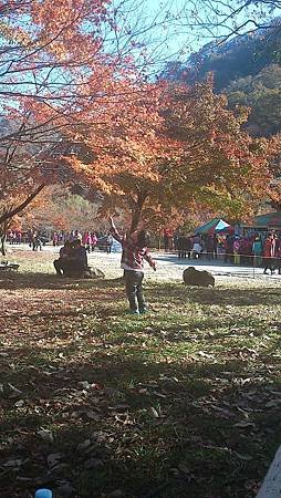 C360_2012-11-03-13-55-56
