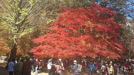 C360_2012-11-03-14-25-22