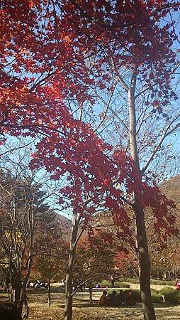 C360_2012-11-03-12-55-59