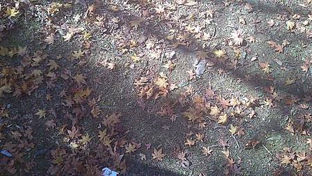 C360_2012-11-03-12-57-18