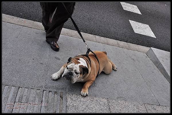 t_DSC_0023.jpg