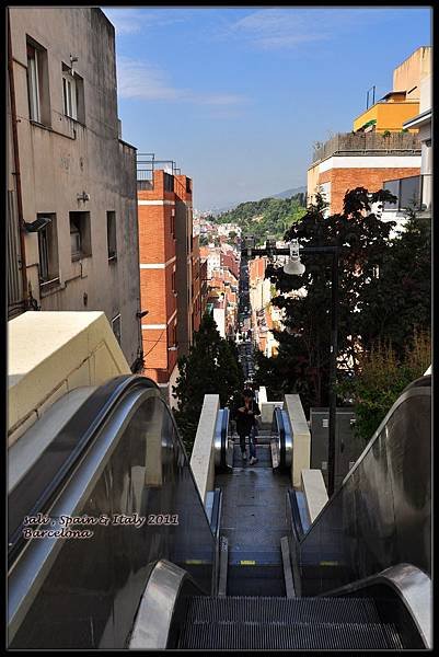 t_DSC_0044.jpg