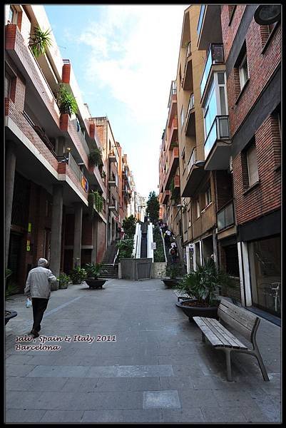 t_DSC_0024.jpg