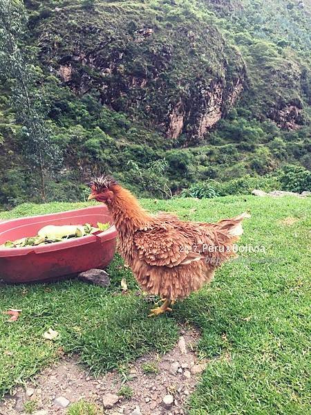 peru_IMG_9327.jpg
