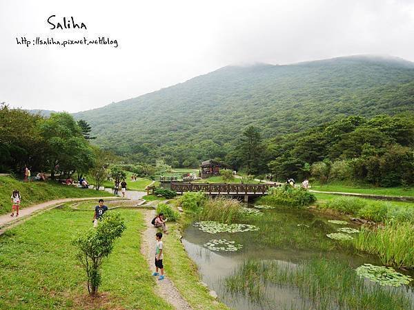 陽明山二子坪步道 (16).JPG