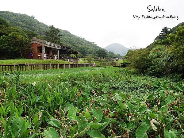 陽明山二子坪步道 (7).JPG