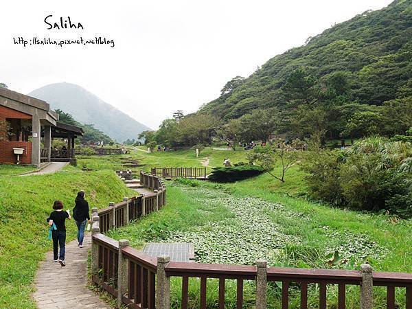 陽明山二子坪步道 (9).JPG