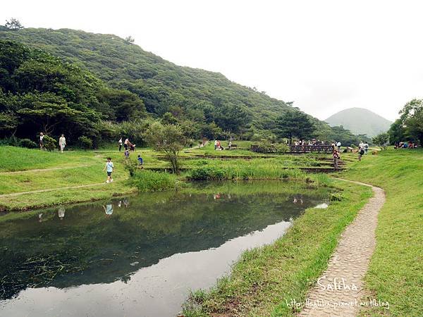 陽明山二子坪步道 (11).jpg