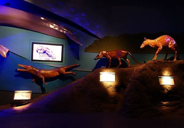 11展場導覽 (3).JPG