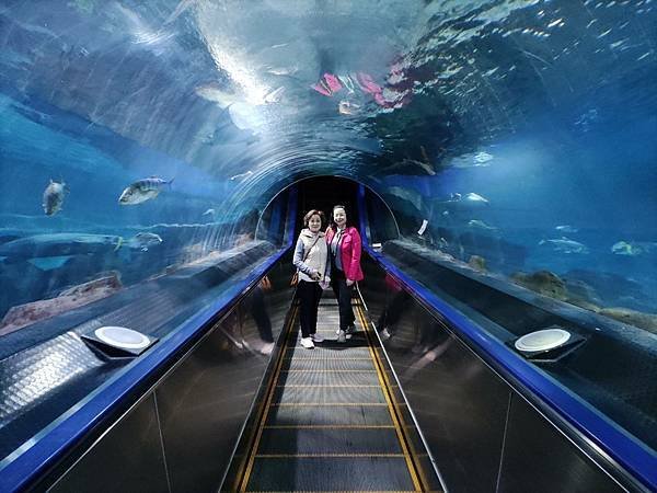 探險島 水族館