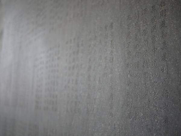 P1010557.JPG