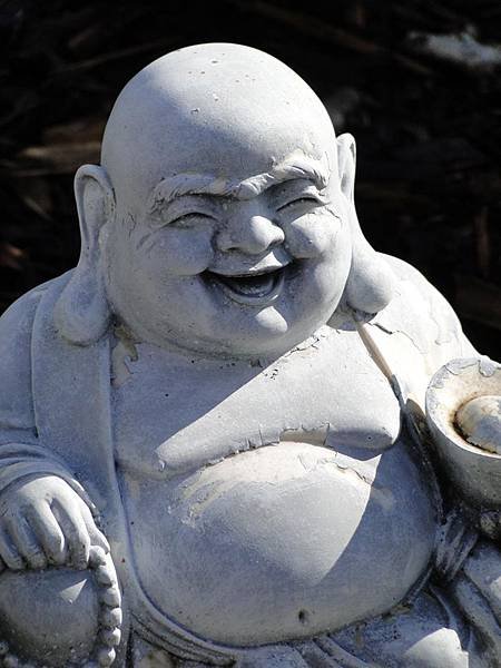 Laughing Buddha