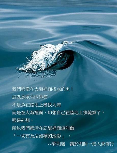 找水的魚